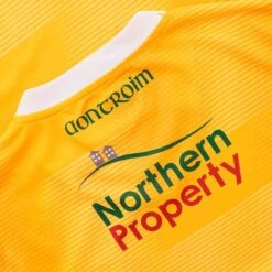 Antrim GAA Baby Home Jersey 2023 -Featured Sports Equipment Store antrim home jersey 3s amb whi adlt p6 1