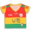 Carlow GAA Baby Home Jersey 2022 -Featured Sports Equipment Store carlow home jersey 22 baby 3s 1