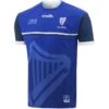 Cavan Player Fit 1916 Remastered Jersey 2 Cavan Player Fit 1916 Remastered Jersey -Featured Sports Equipment Store cavan 1916 commemoration jersey pf 1