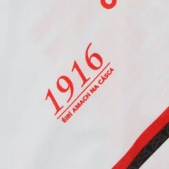 Tyrone Player Fit 1916 Remastered Jersey 19 Tyrone Player Fit 1916 Remastered Jersey -Featured Sports Equipment Store tyrone 1916 commemoration jersey pf 11